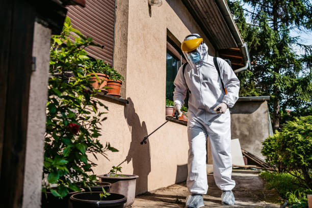 Best Flea Control Services  in Bradford, RI