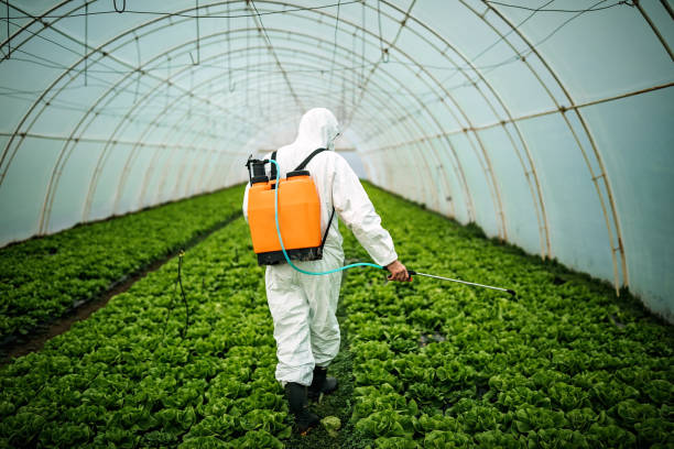 Best Emergency Pest Control  in Bradford, RI