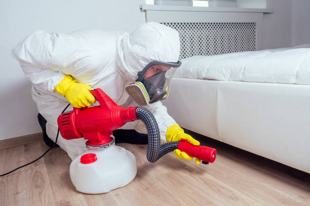 Best Wasp Removal Services  in Bradford, RI