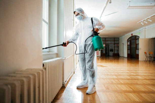 Best Termite Control Services  in Bradford, RI