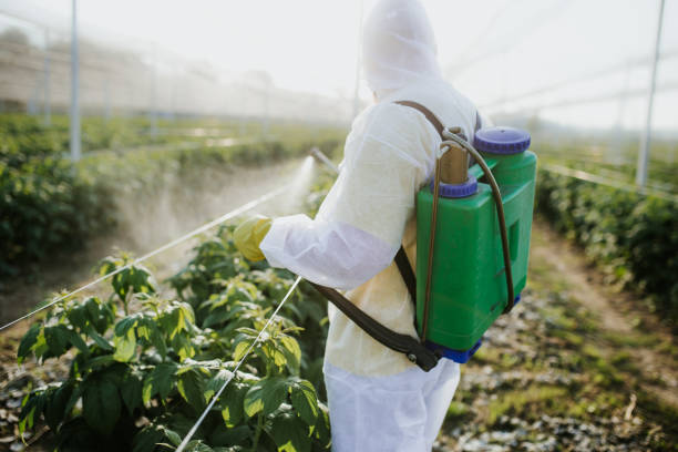 Best Commercial Pest Control Services  in Bradford, RI